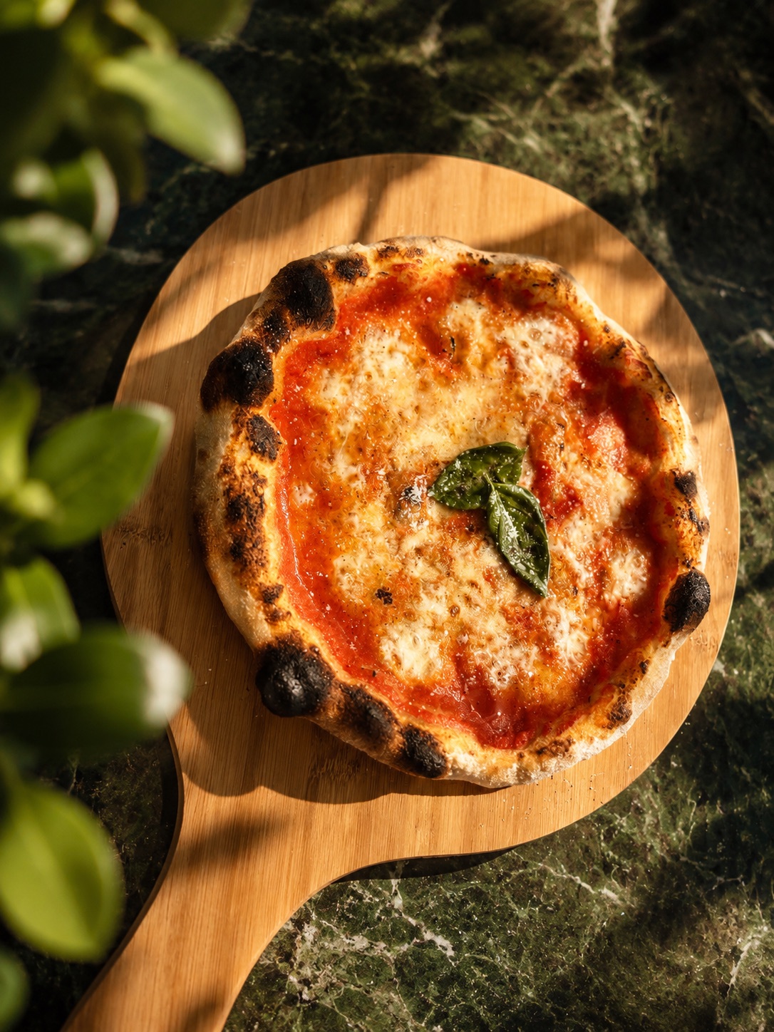 Pizza artesanal recién horneada con tomate, mozzarella y albahaca